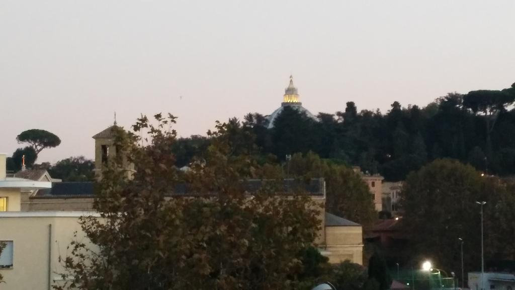 Fiore Vaticano Rome