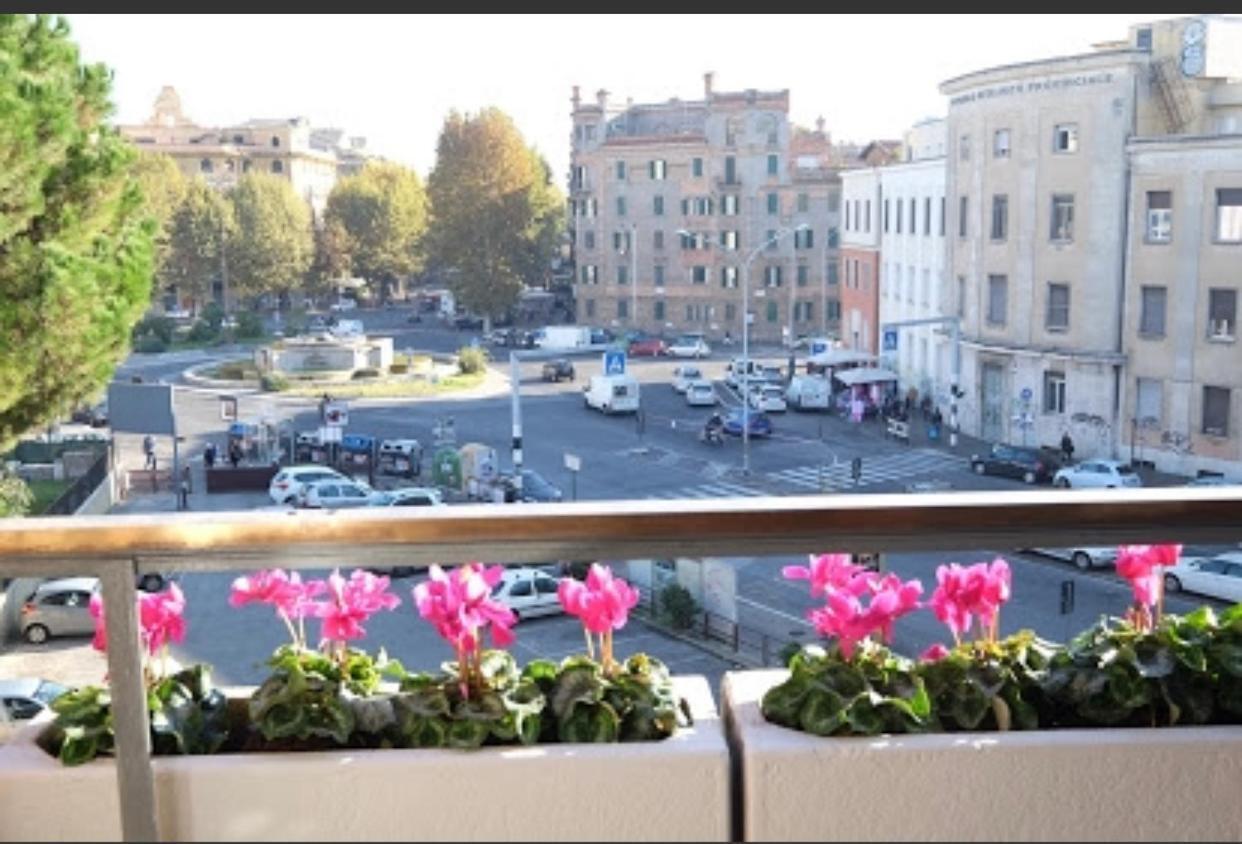 Fiore Vaticano Rome