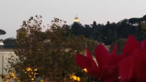 Fiore Vaticano
